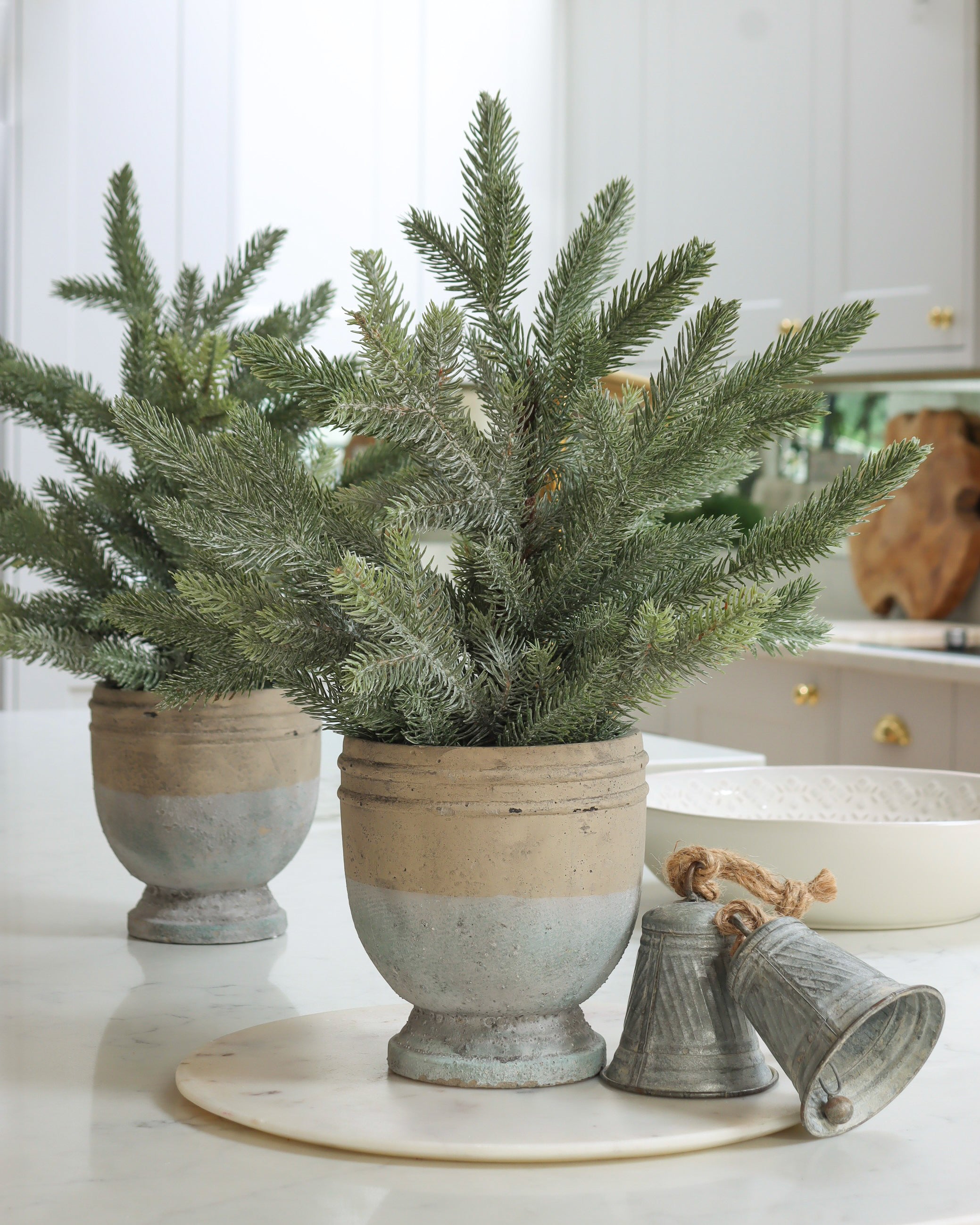 Pine Tree in Stone Pot