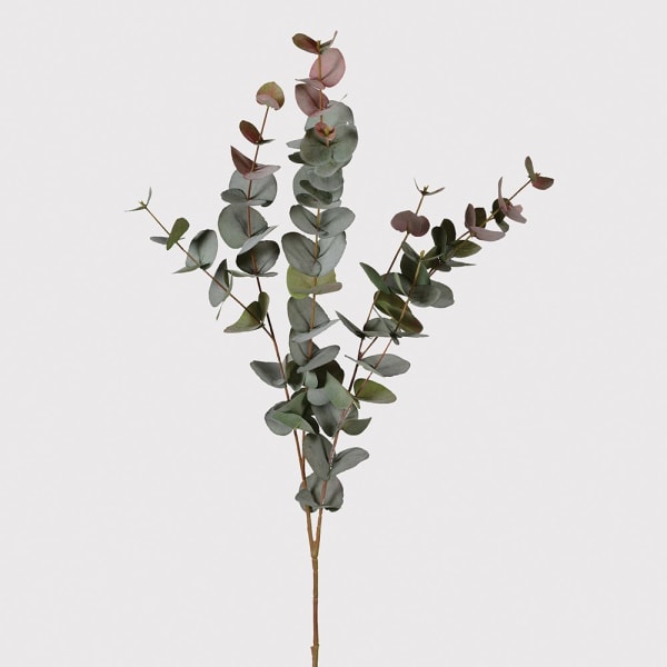 Blush Eucalyptus