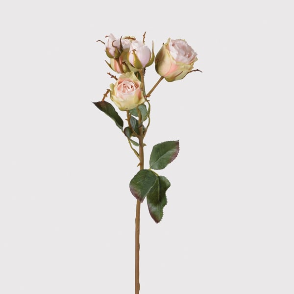 Blush Pink Rose Spray