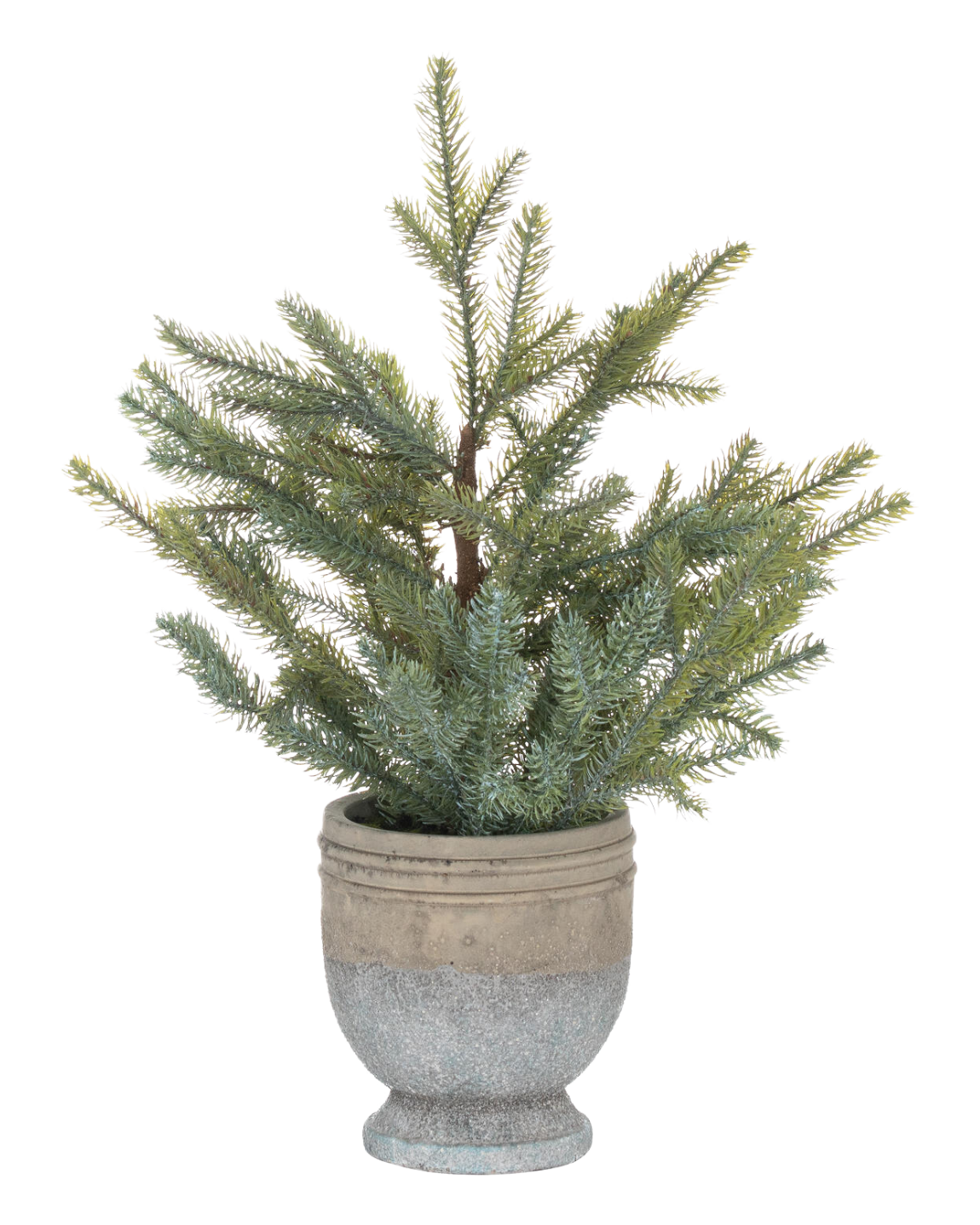 Pine Tree in Stone Pot
