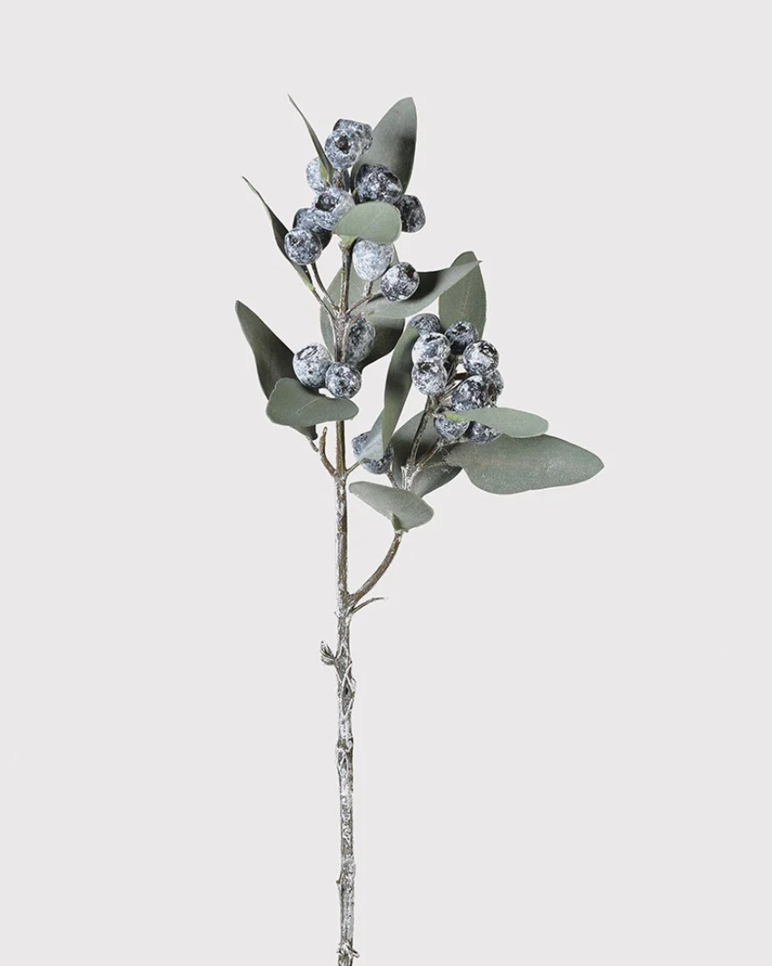 Eucalyptus Berry Spray