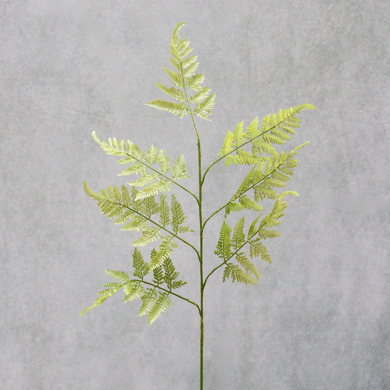 Green Fern Spray