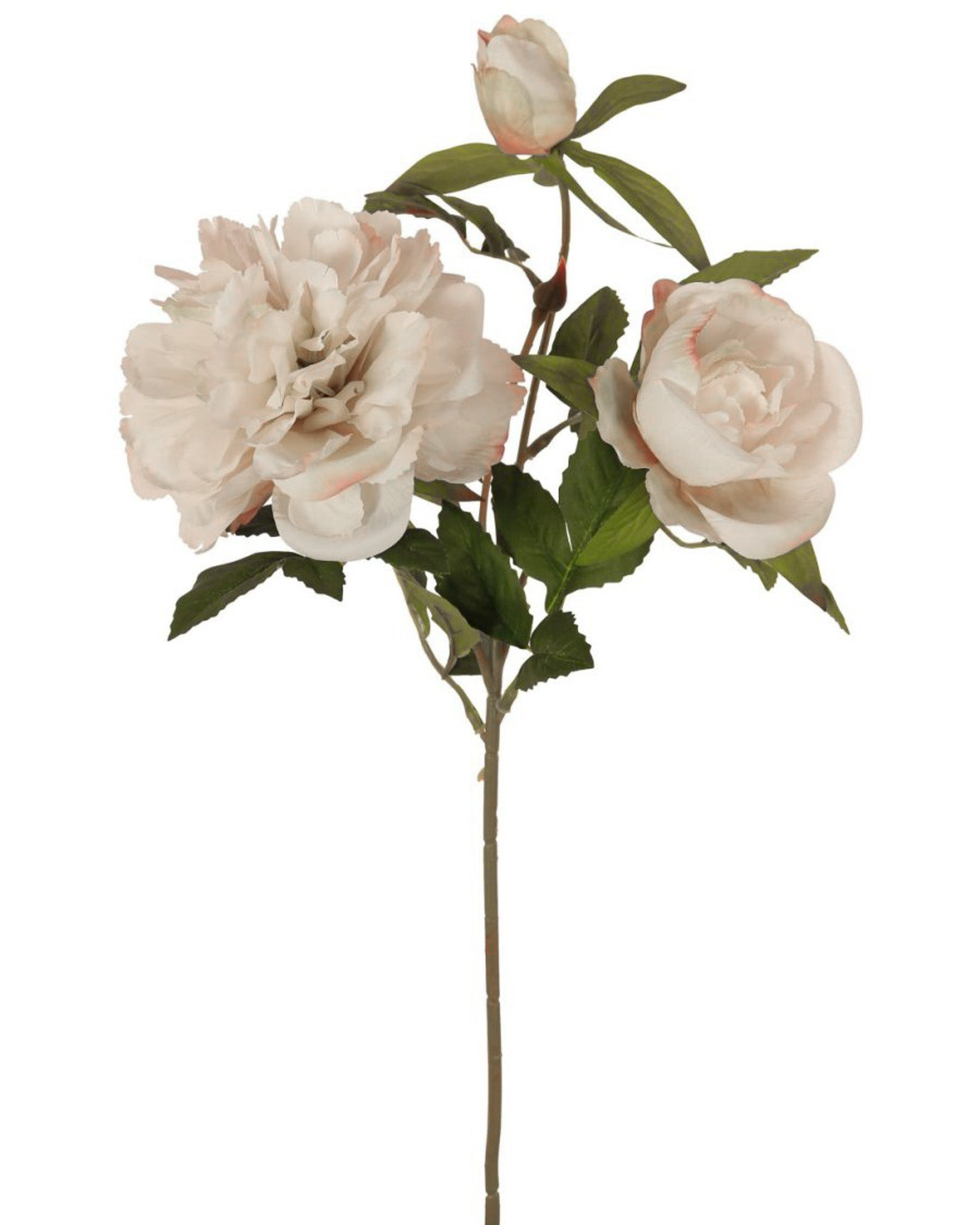 White Peony Spray