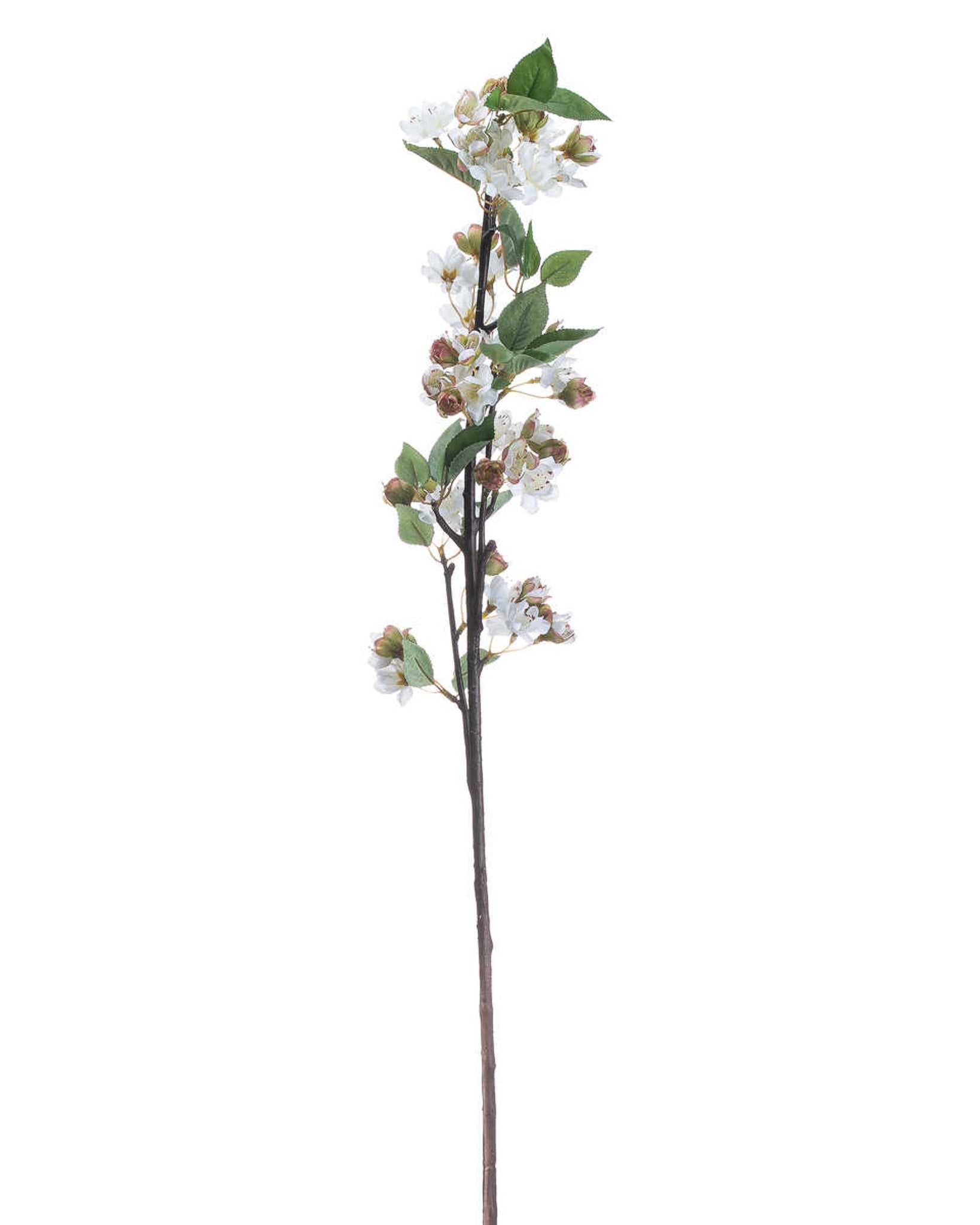 English Blossom Branch