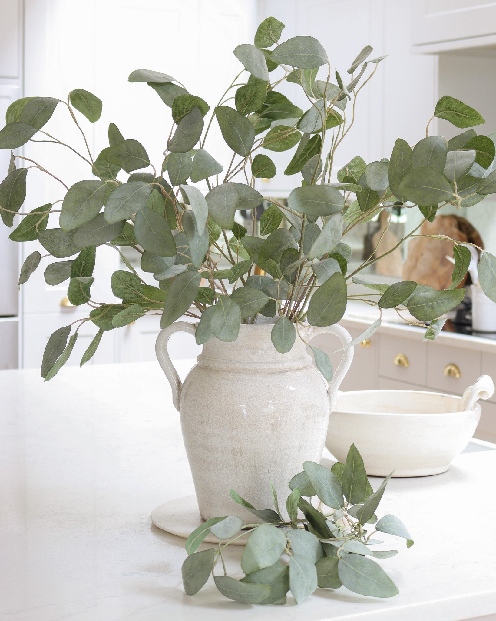 Silver Dollar Eucalyptus