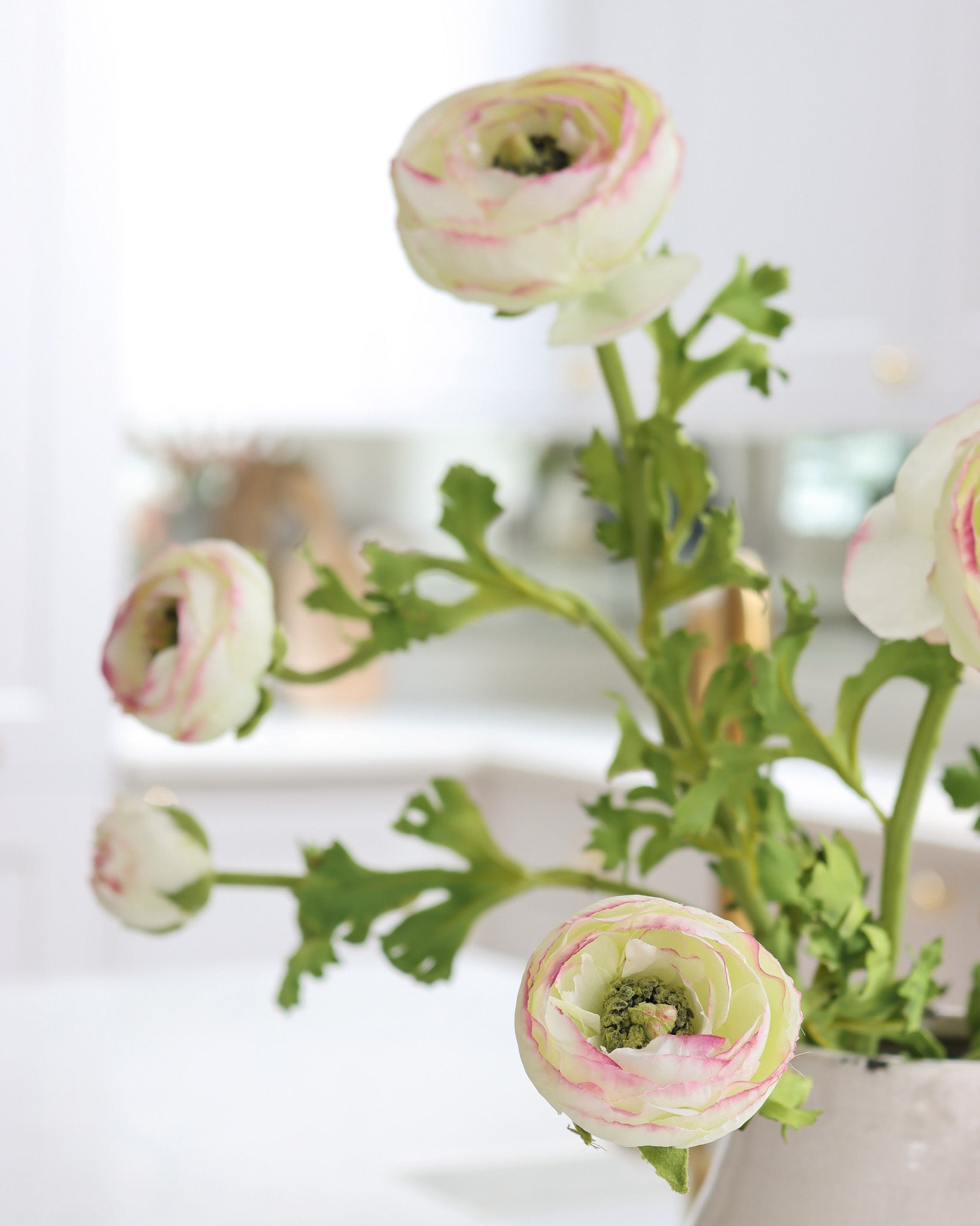 Green Ranunculus Spray