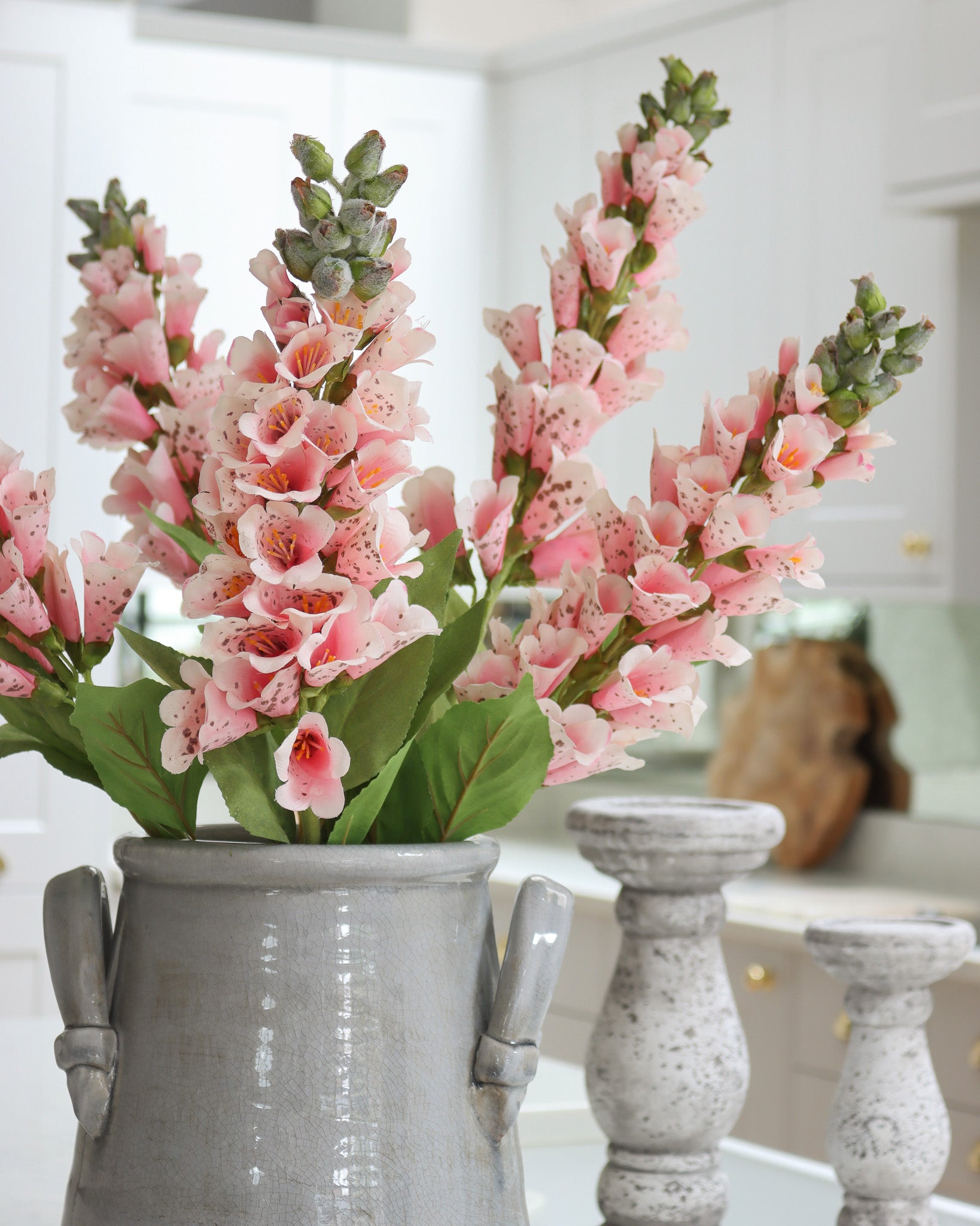 Pink Foxglove