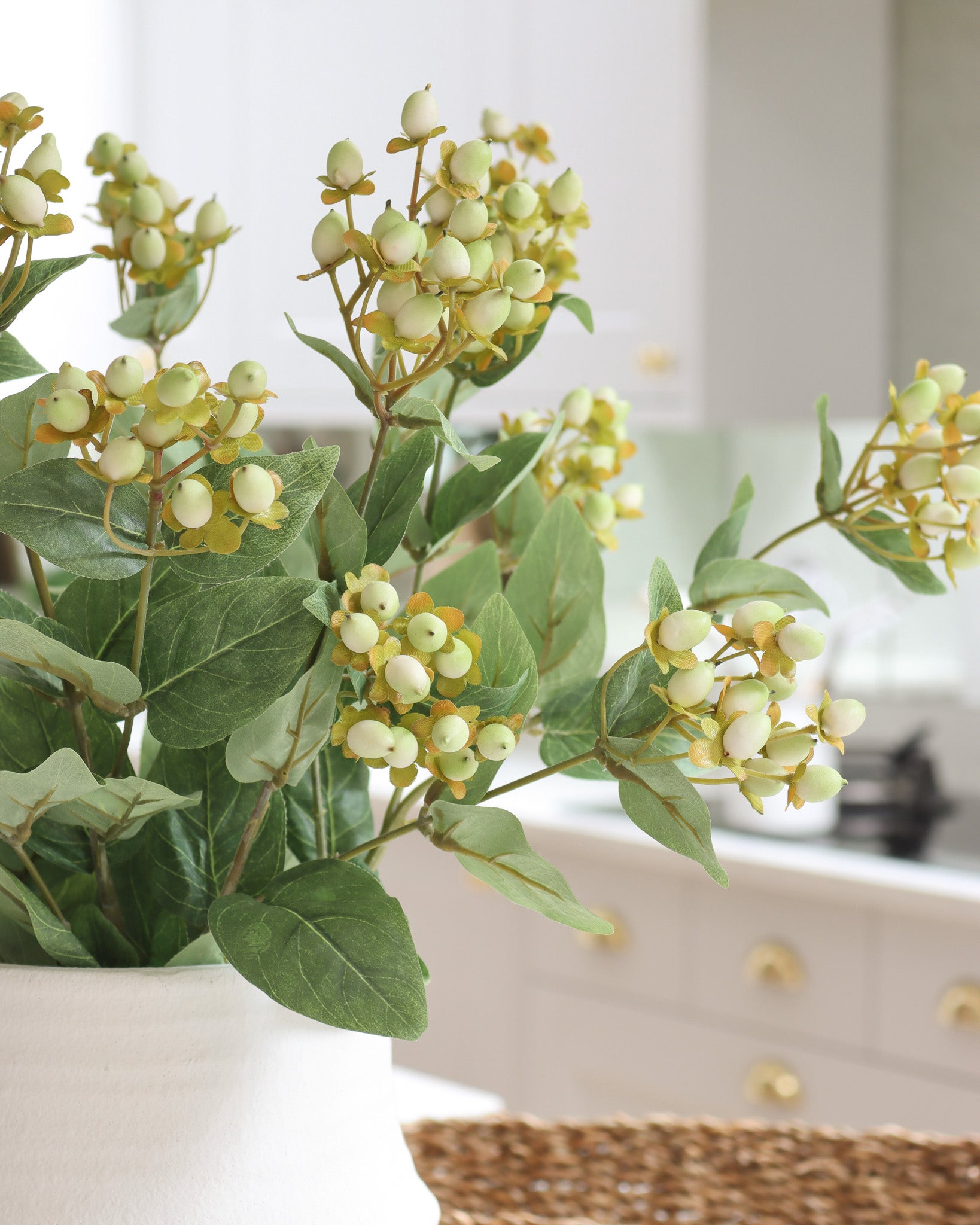 Green Hypericum Berry Spray