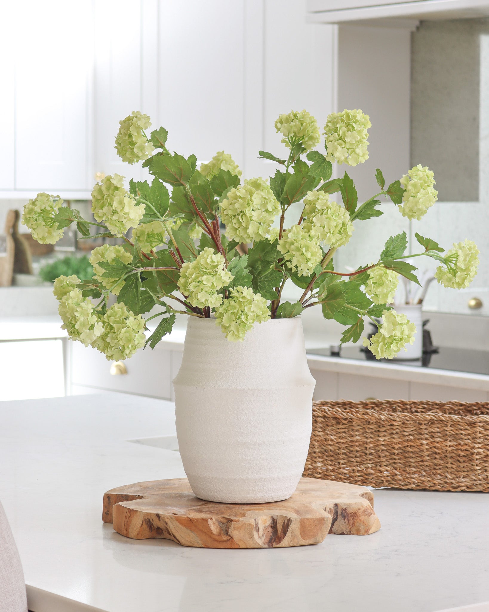 Green Viburnum