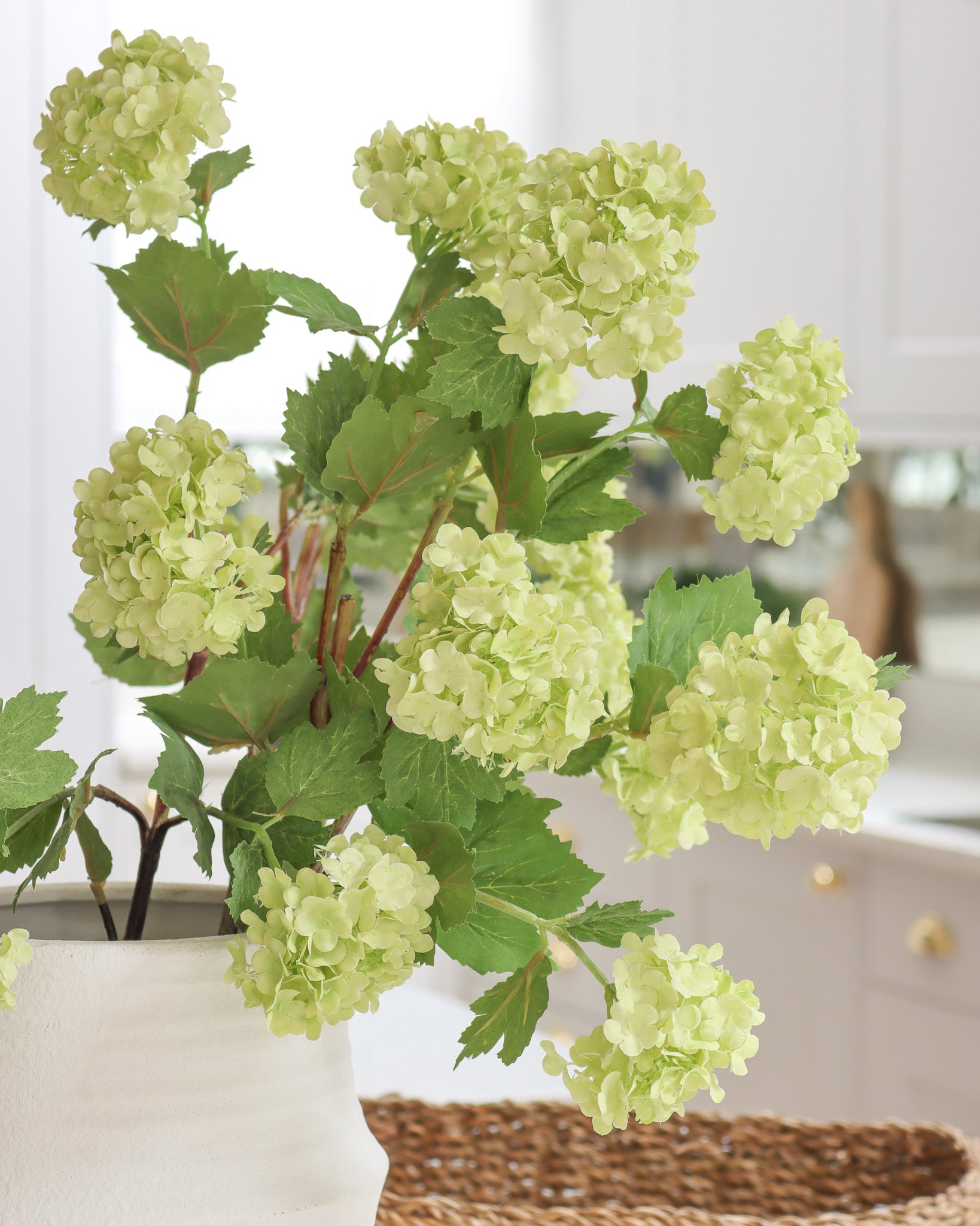 Green Viburnum