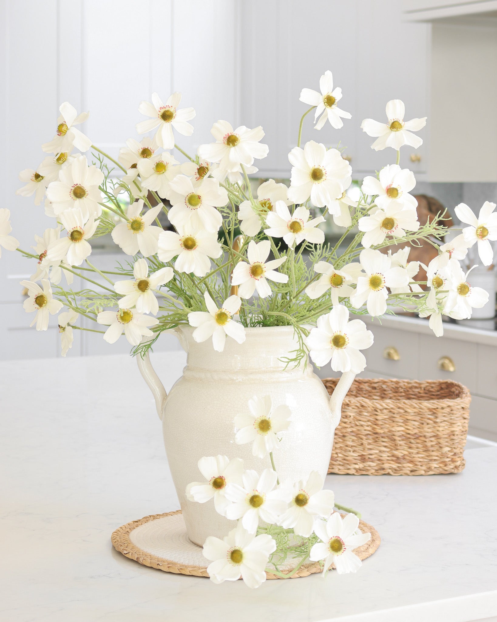 White Cosmos