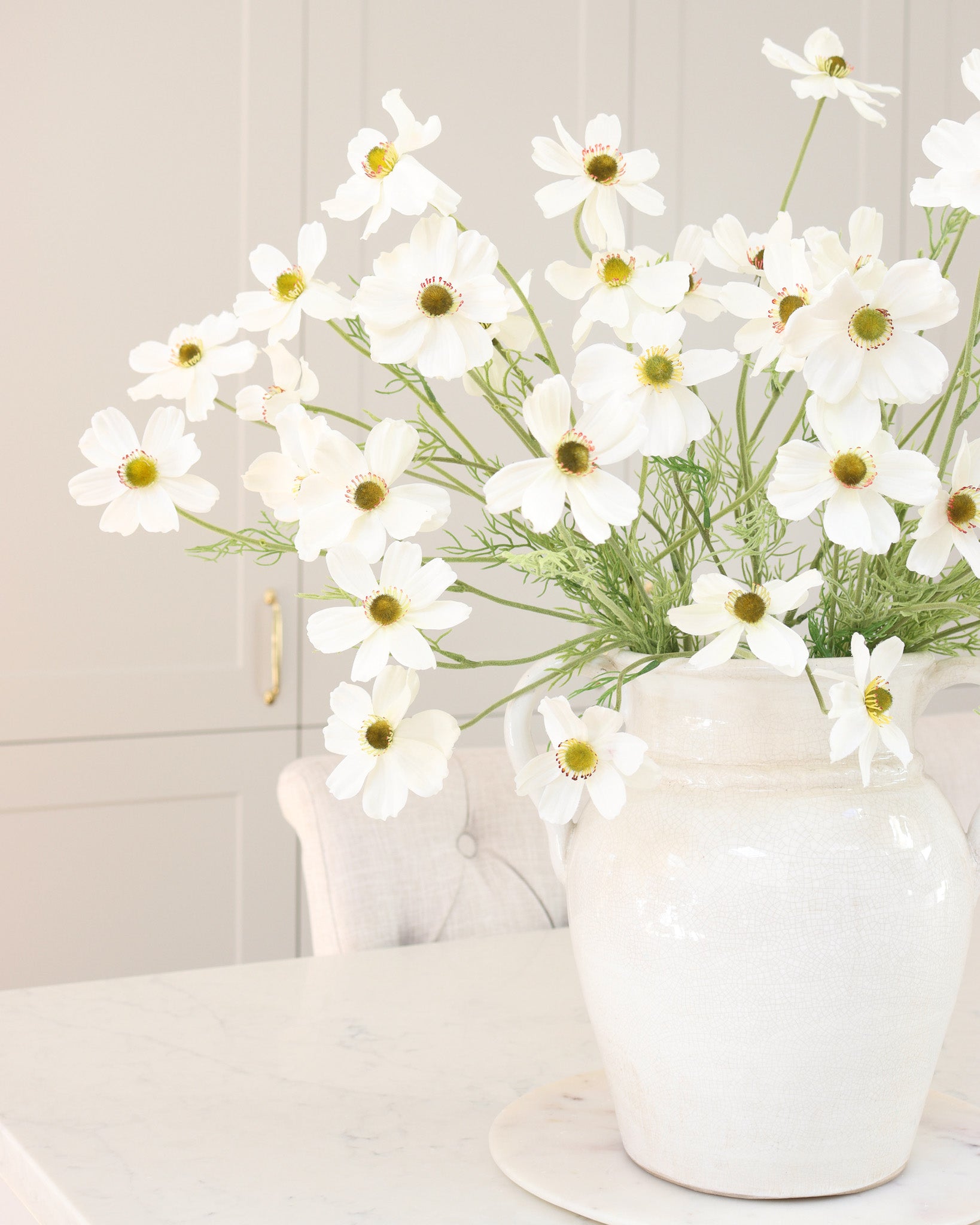 White Cosmos