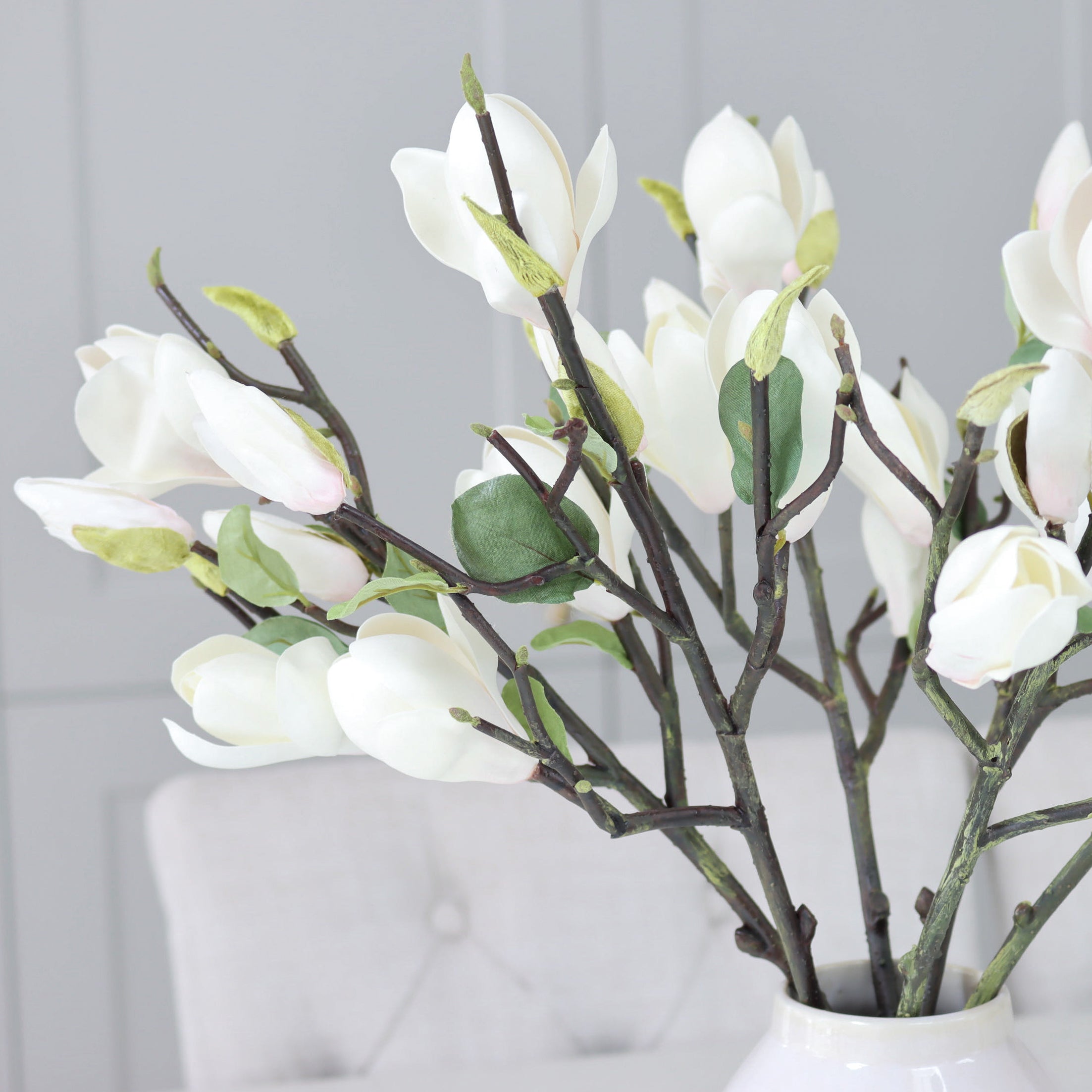 White Magnolia Branch