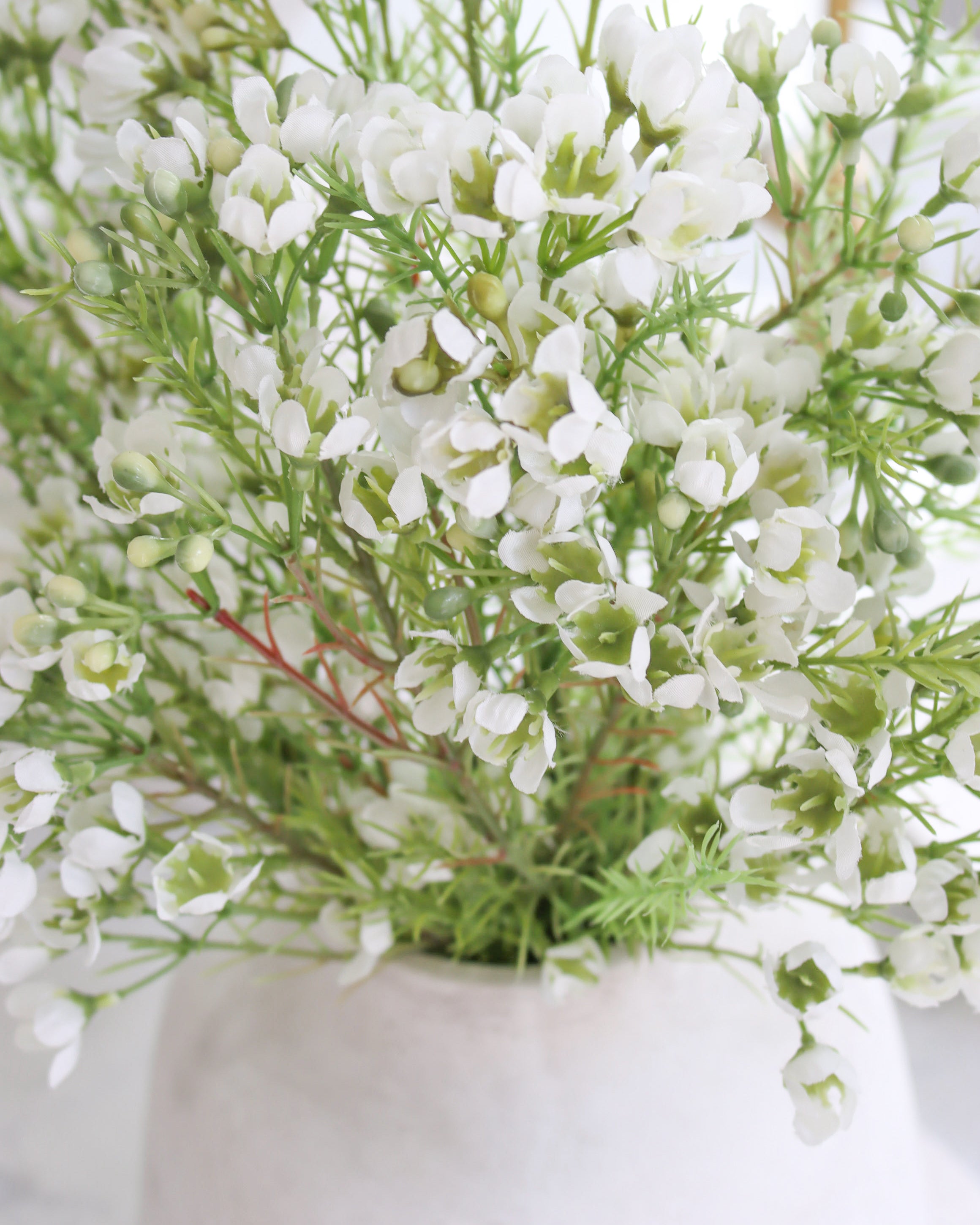 White Wax Flower Spray