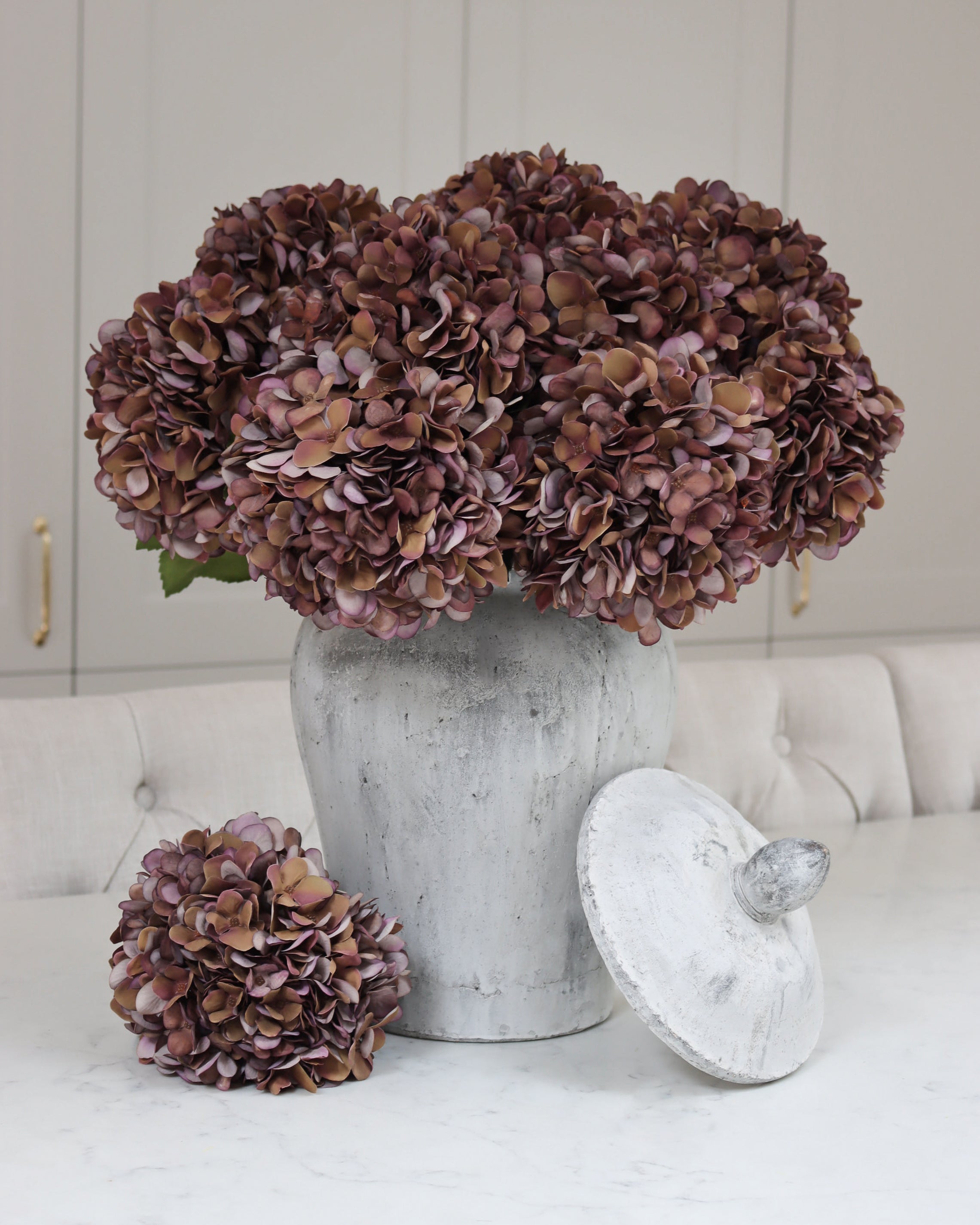 Coffee Hydrangea
