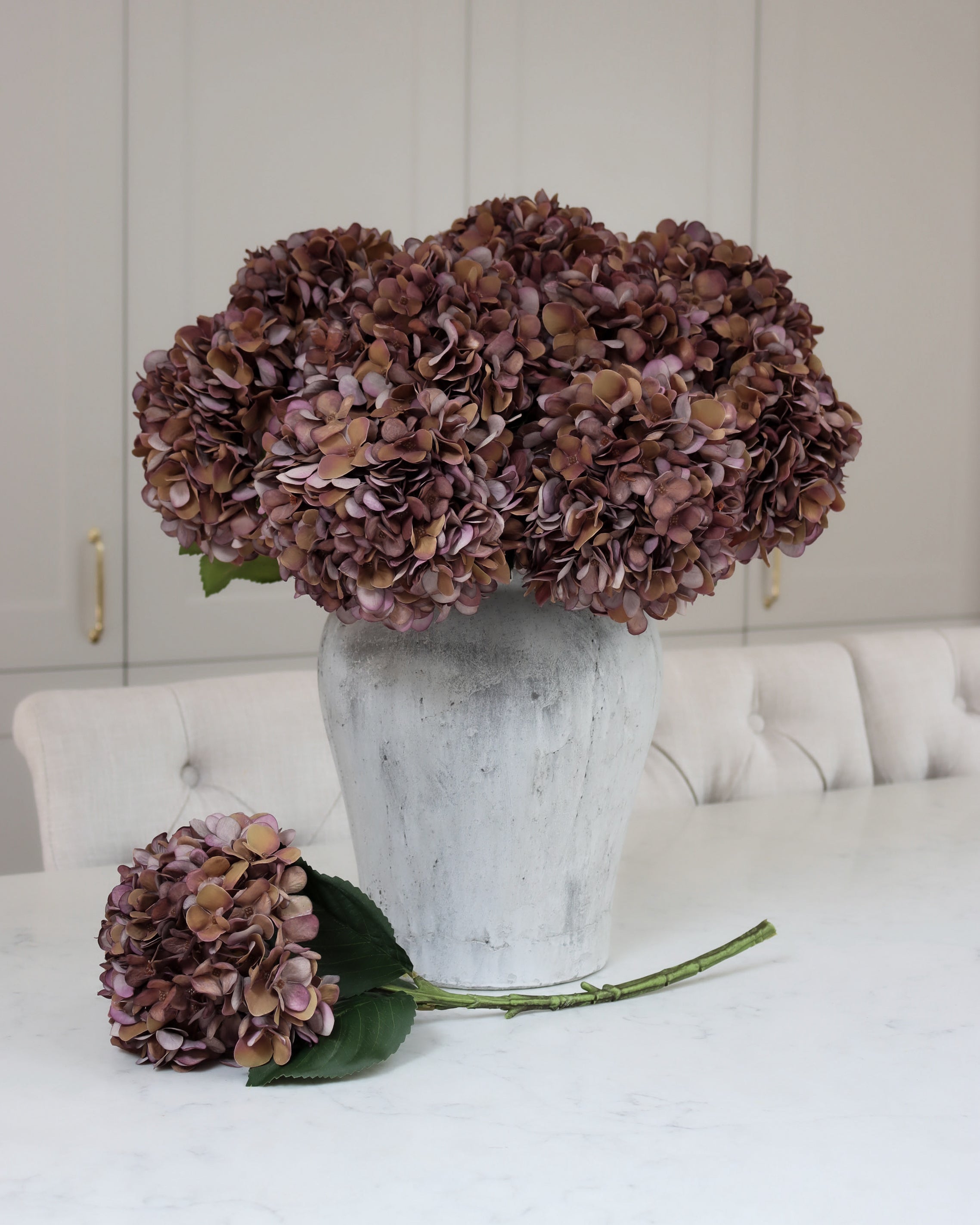 Coffee Hydrangea