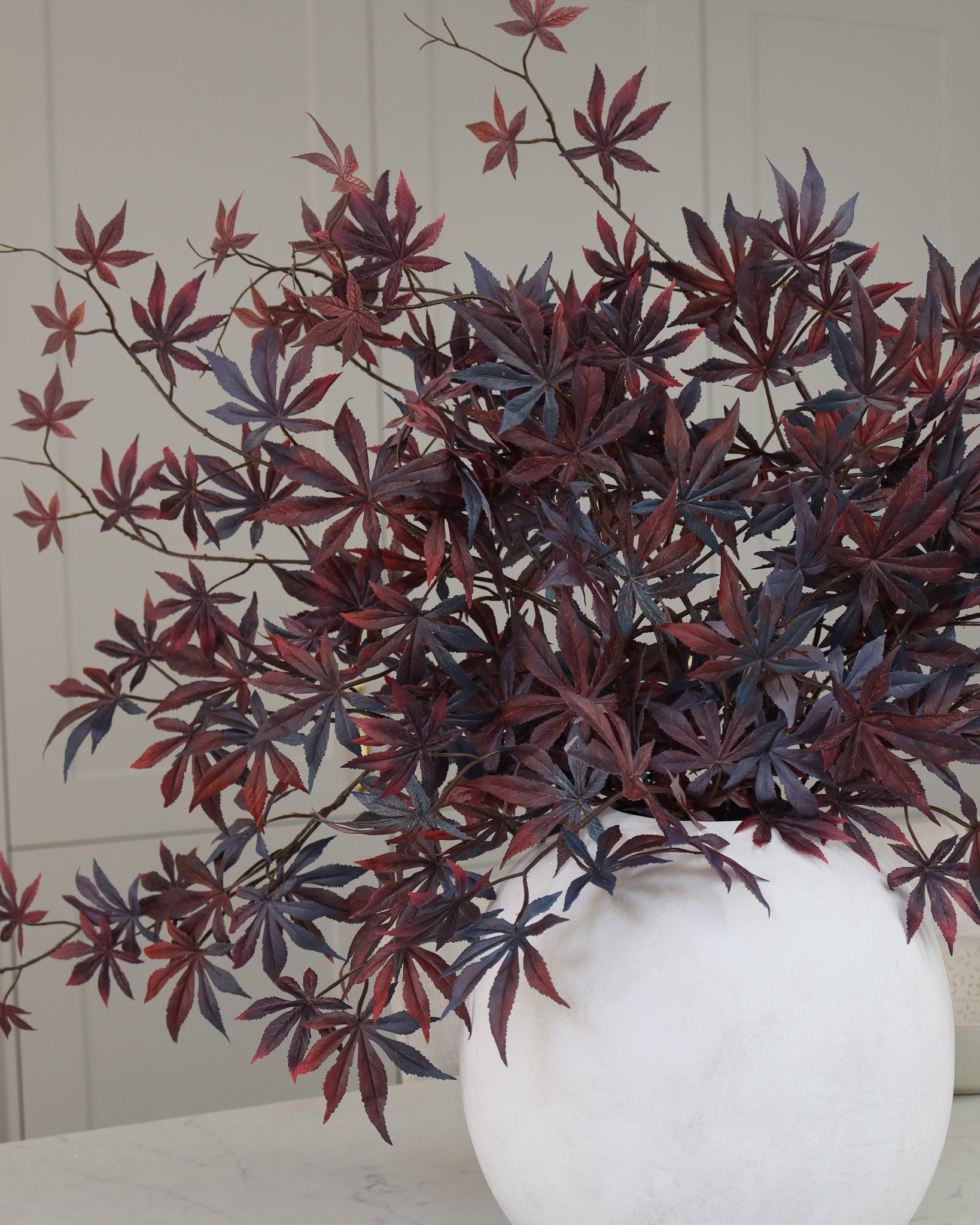 Japanese Maple Leaf