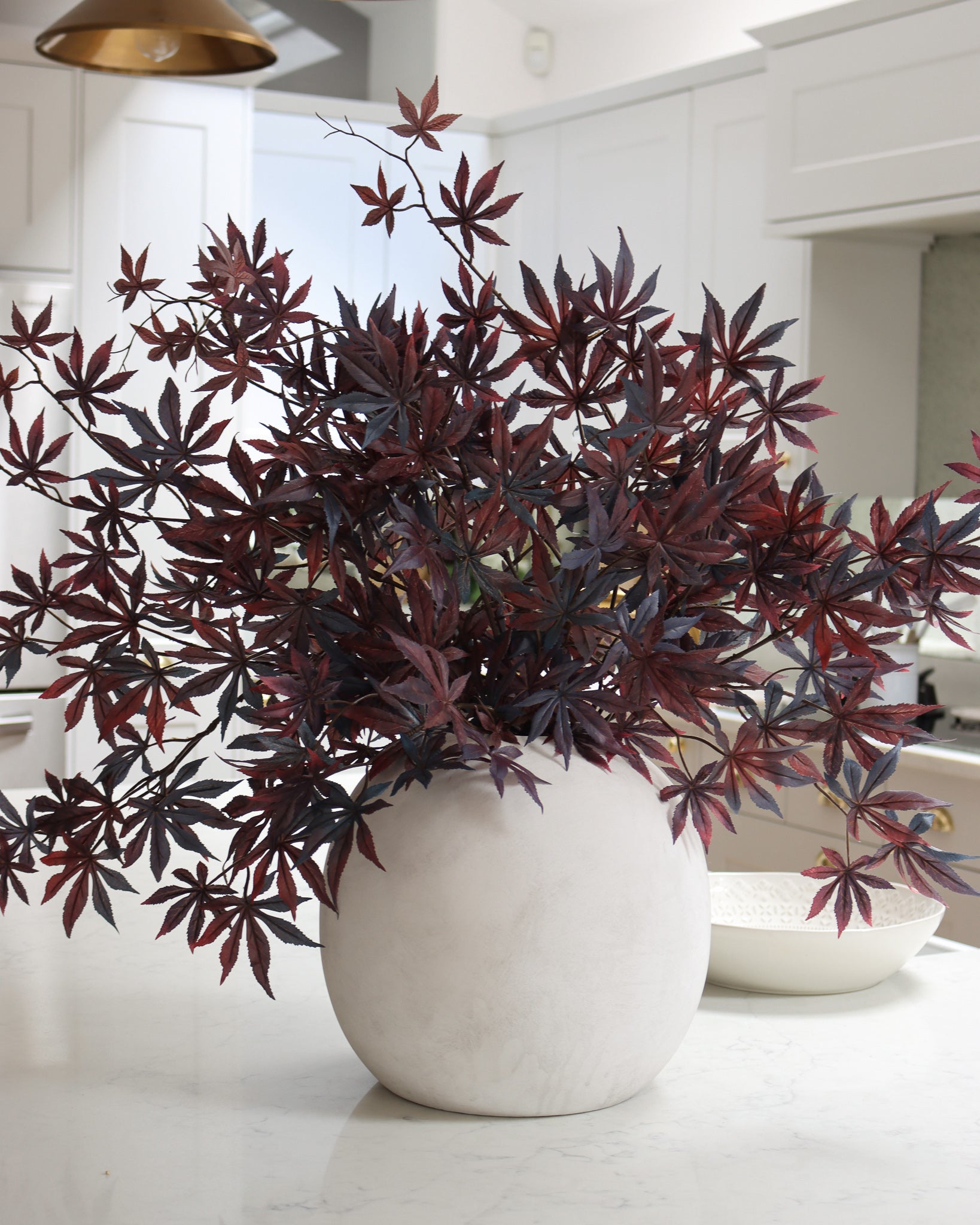 Japanese Maple Leaf
