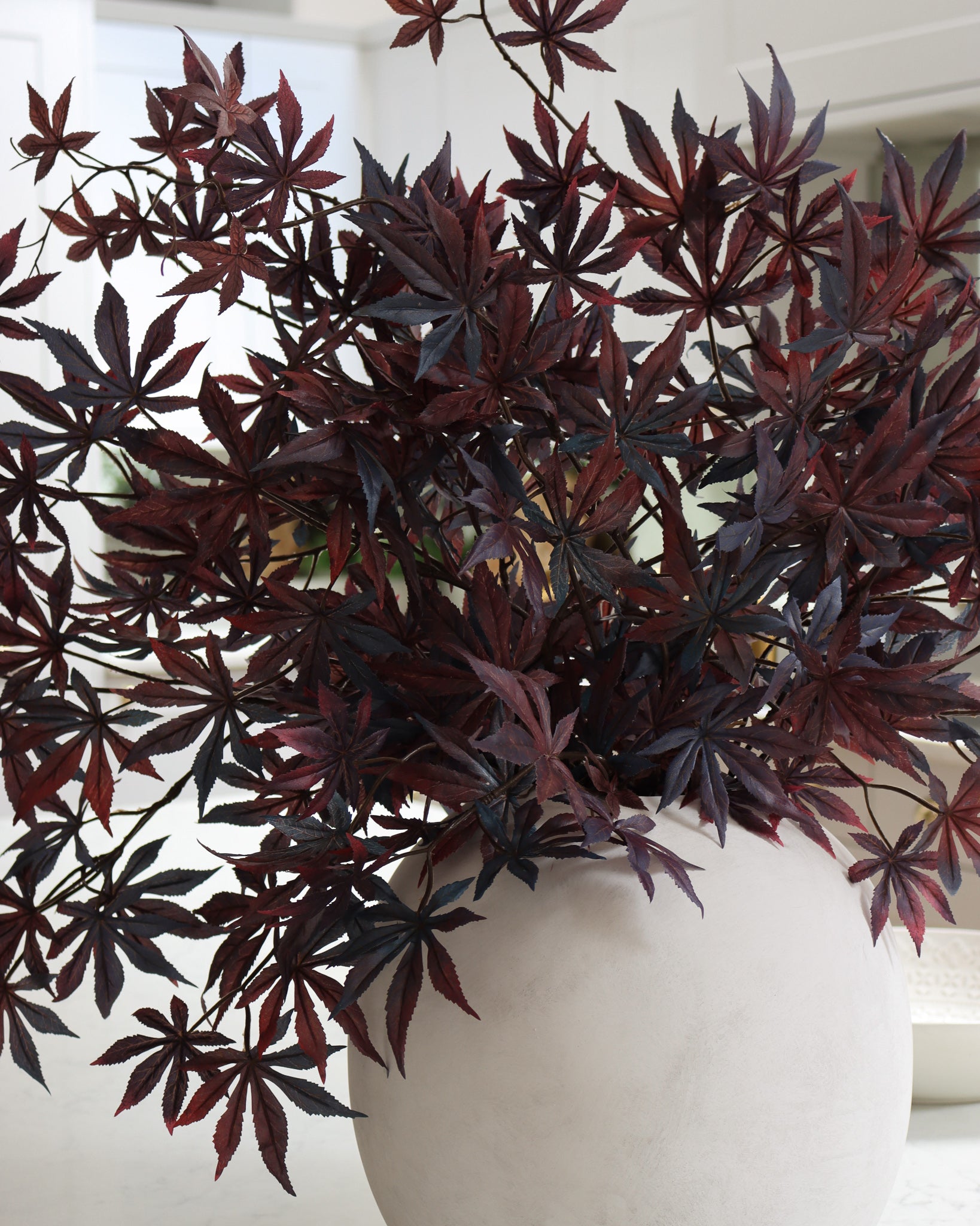 Japanese Maple Leaf