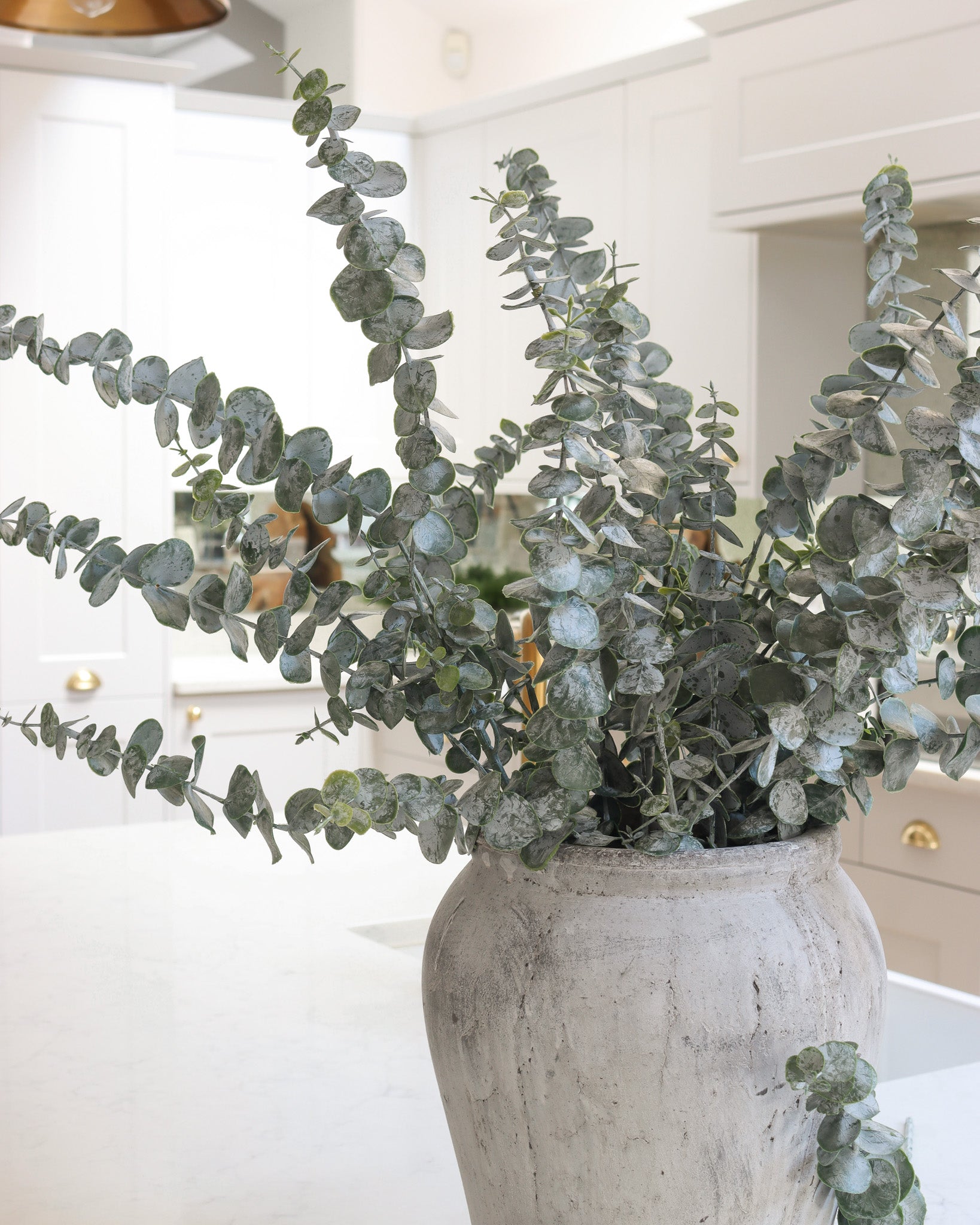 Spiral Eucalyptus Spray