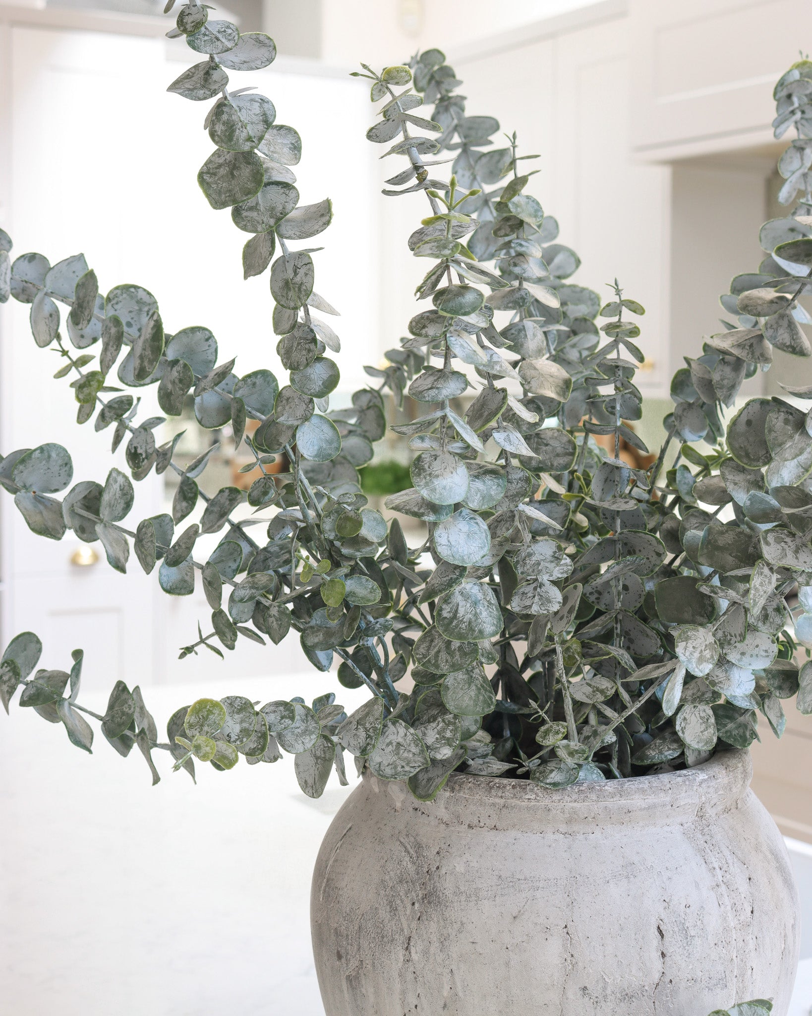 Spiral Eucalyptus Spray