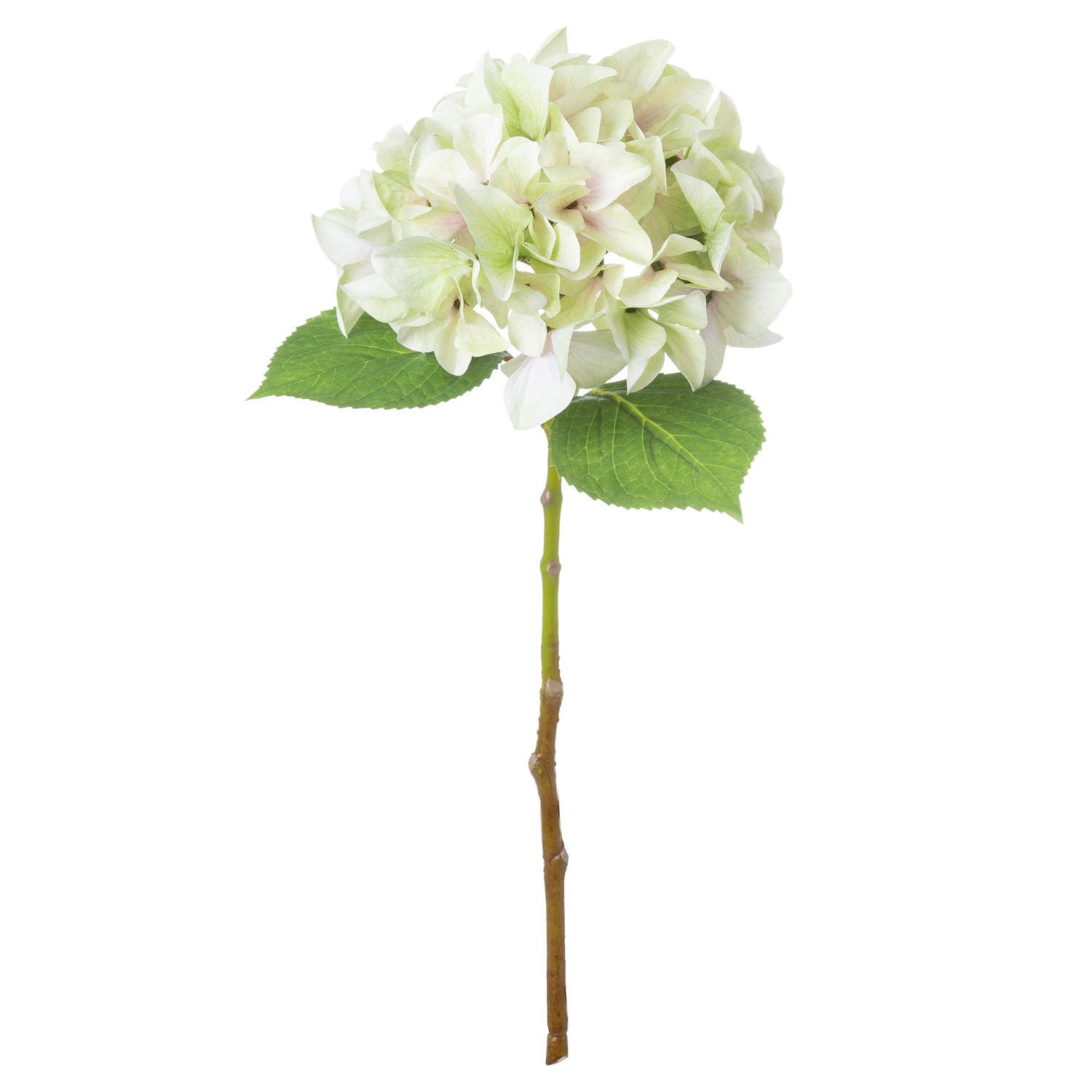 artificial green hydrangea stem