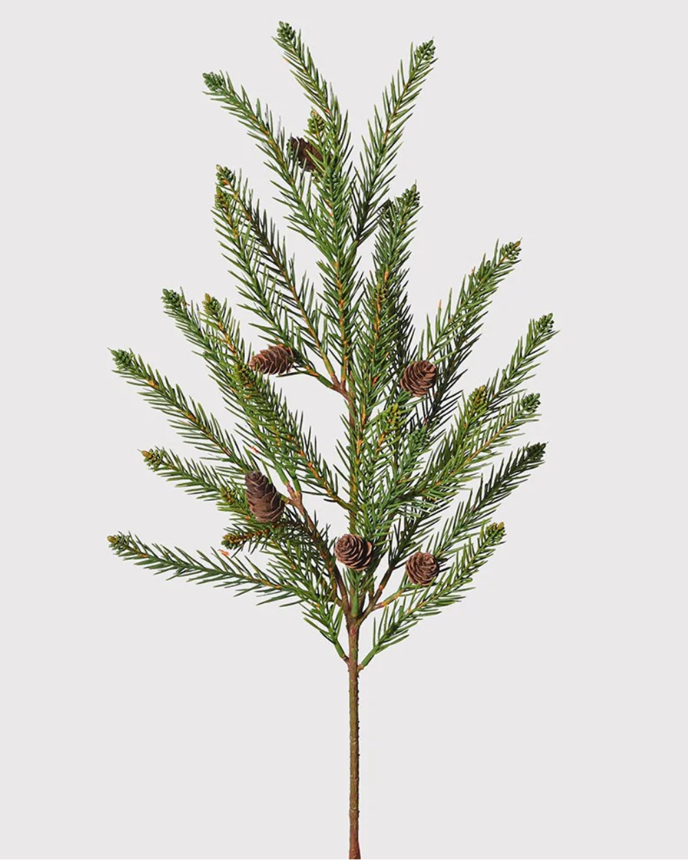 Pine and Pinecone Spray