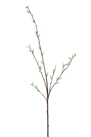 Pussywillow Branch