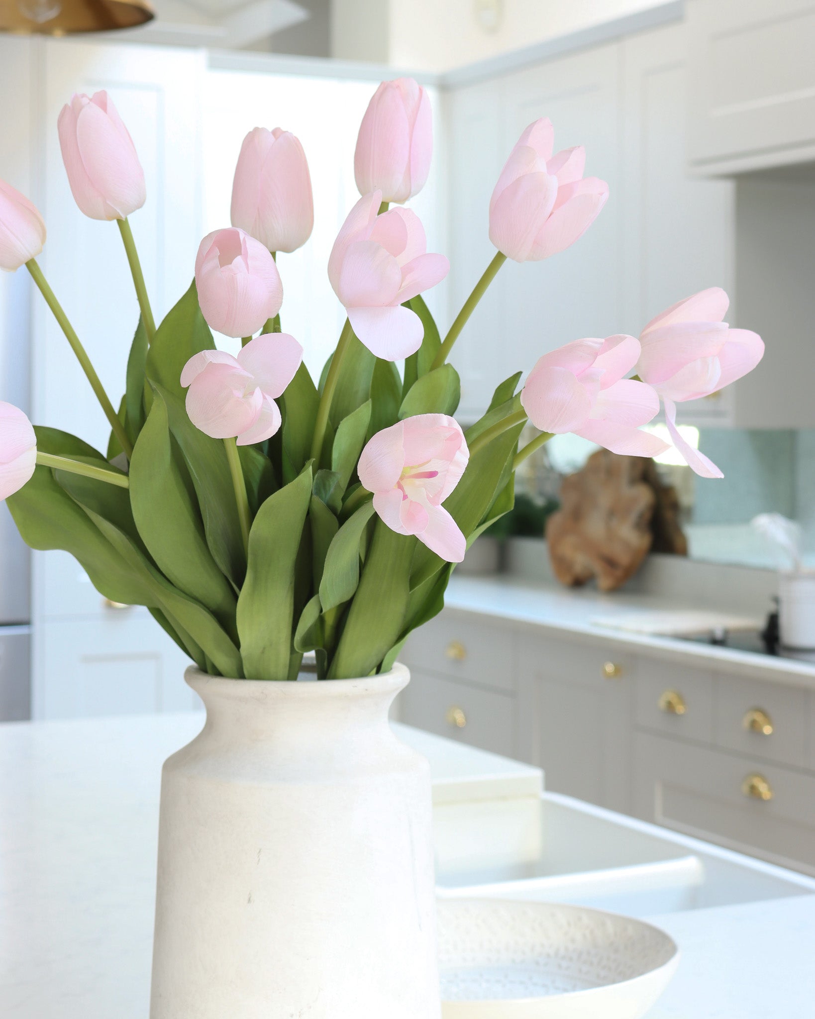 Powder Pink Tulip